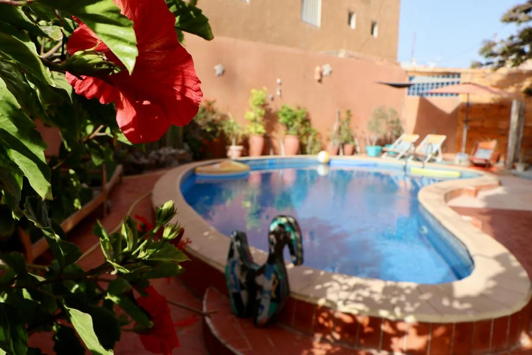 Fleurs et feuillage encadrant l’eau bleue de la piscine de la maison