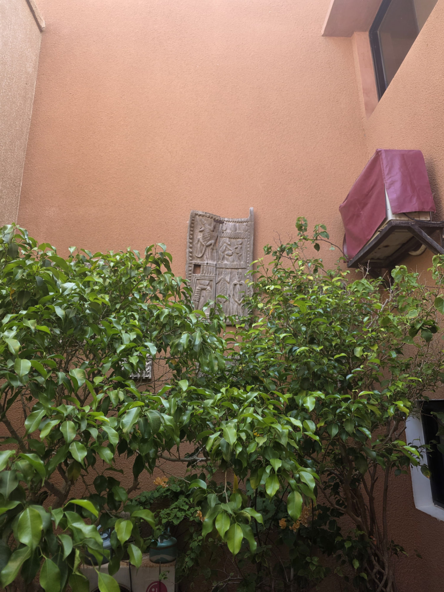 Cour végétalisée de Maison Sahel avec un haut panneau sculpté sur un mur terre cuite